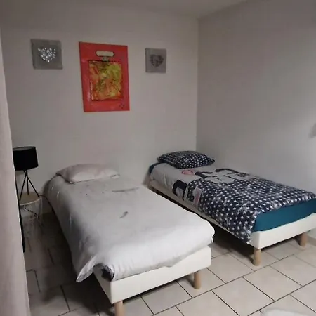 Cosy Spacieux Parking Gratuit En Face 公寓 特鲁瓦