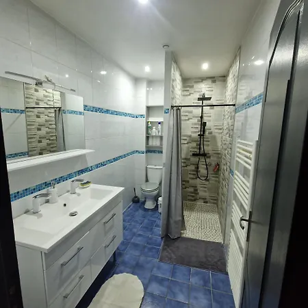 公寓 Cosy Spacieux Parking Gratuit En Face 特鲁瓦