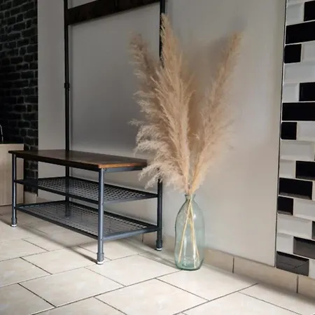 公寓 Cosy Spacieux Parking Gratuit En Face